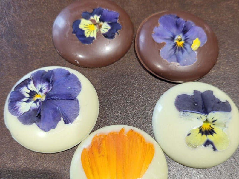 cuisine-fleurs-comestibles-chocolats