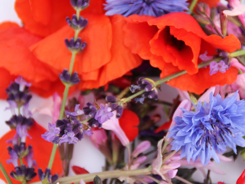 cuisine-fleurs-comestibles-melange-3