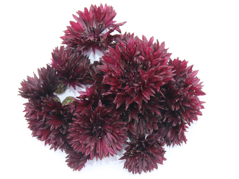 fleurs-comestibles-bloommh-chocolat