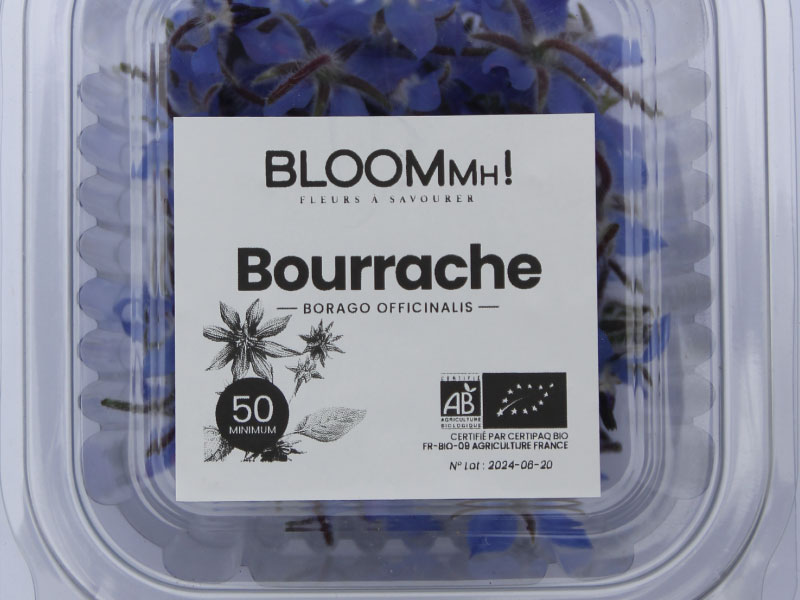 fleurs-comestibles-bourrache-bloommh