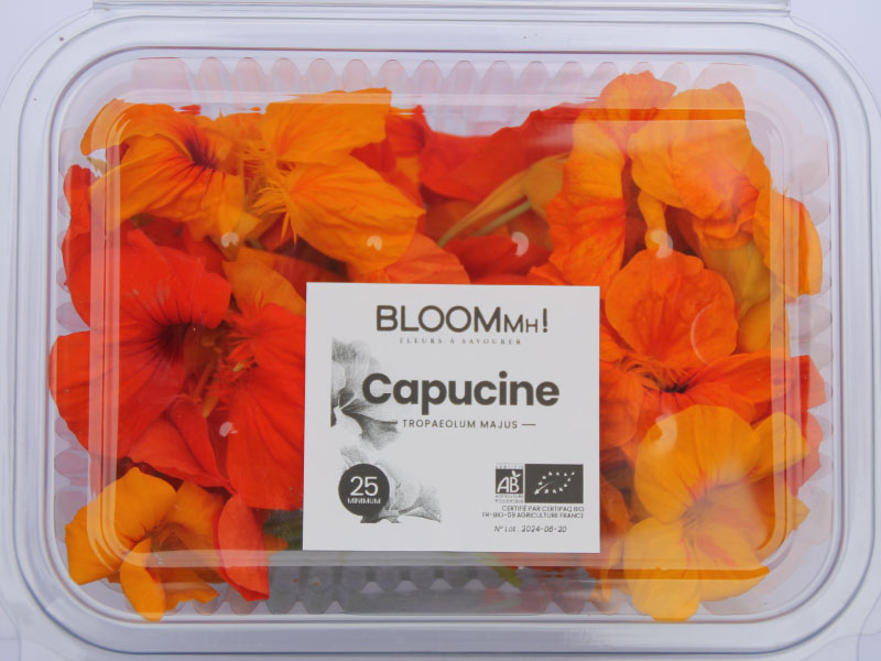 fleurs-comestibles-capucine-bloommh