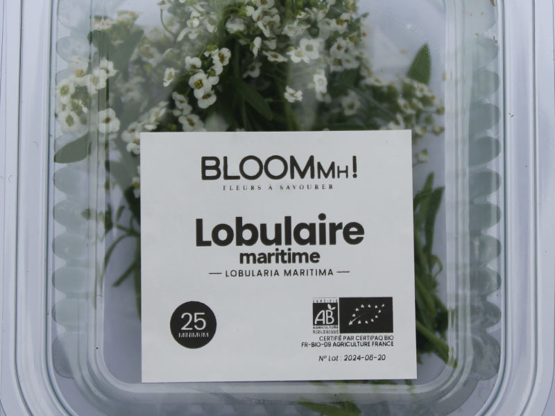 fleurs-comestibles-lobulaire-bloommh