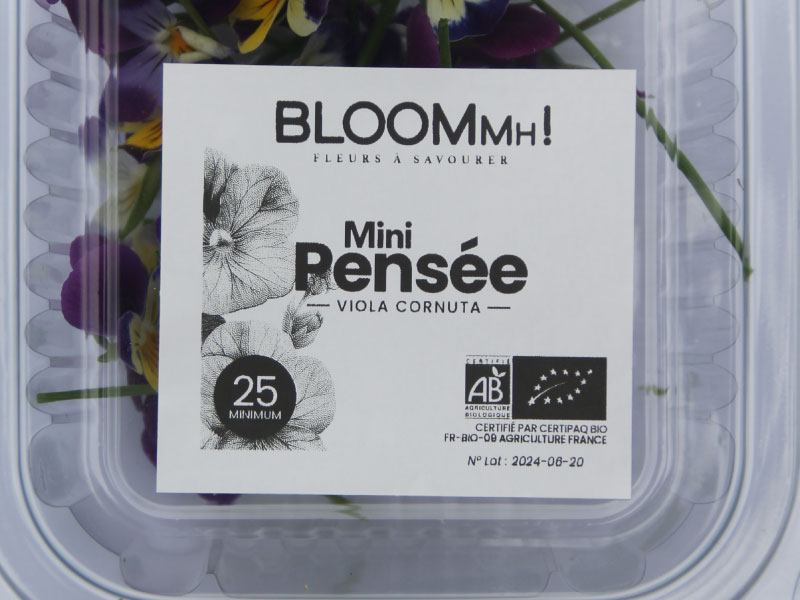 fleurs-comestibles-mini-pensees-bloommh